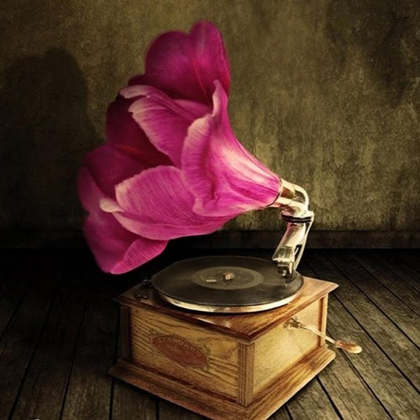 Цветок в виде граммофона