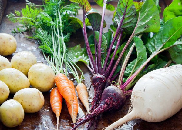 Редис, репа, морковь, свёкла, редька