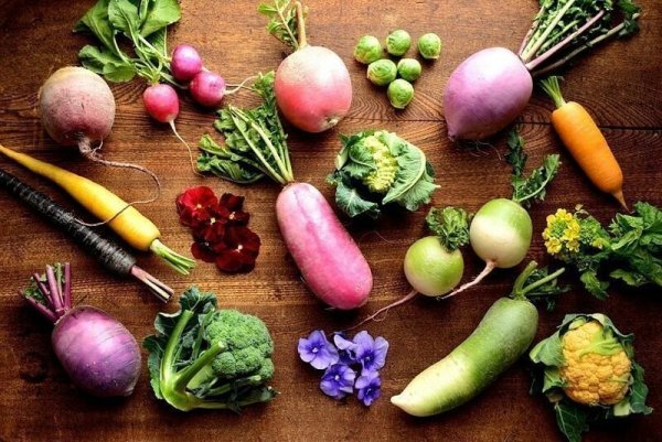Корнеплодные овощи