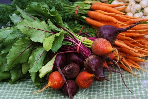 Ботва свеклы редиса моркови