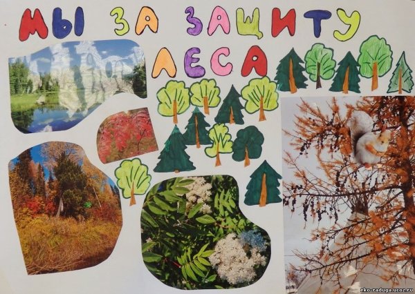 Коллаж на тему защита природы