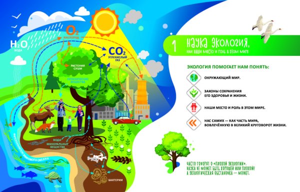 Экология информация