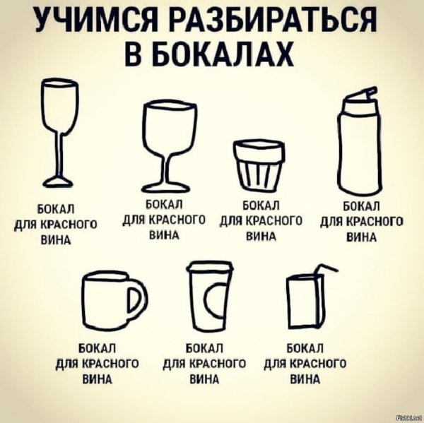 Учимся разбираться в бокалах