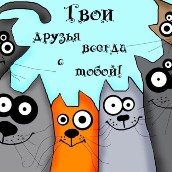 Твои друзья всегда с тобой