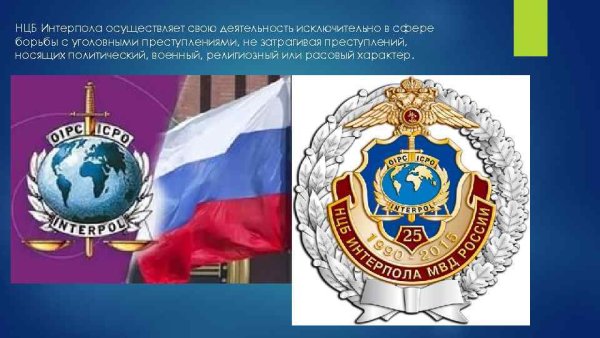 Национальное центральное бюро Интерпола в России