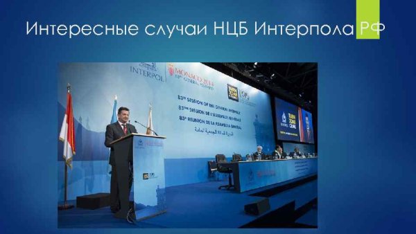 НЦБ Интерпола