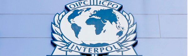 Члены Интерпола