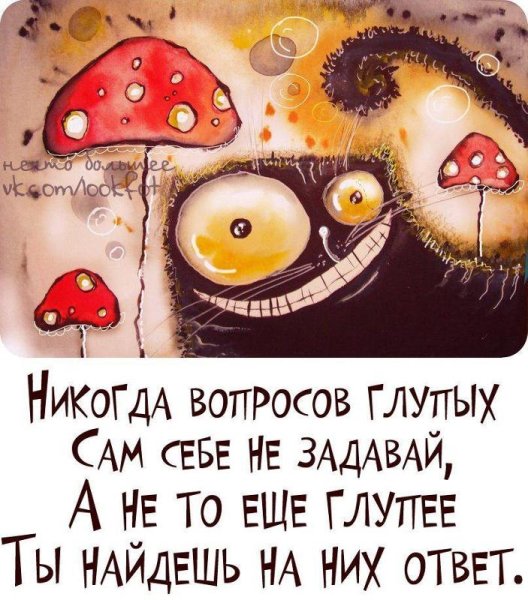 День глупых вопросов 28 сентября