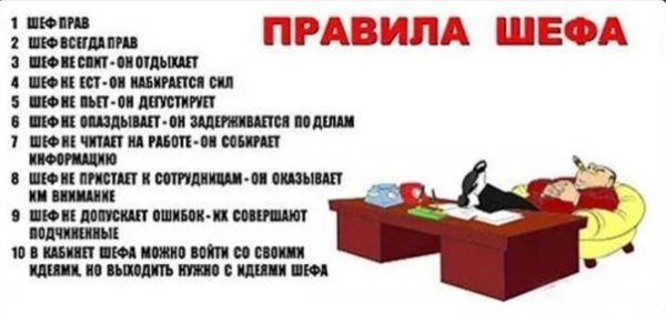 Правила шефа прикольные
