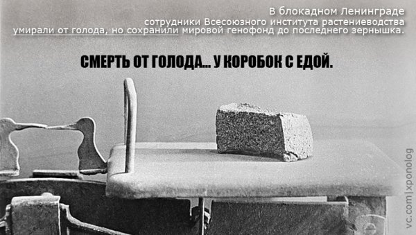 Достижение блокады Ленинграда