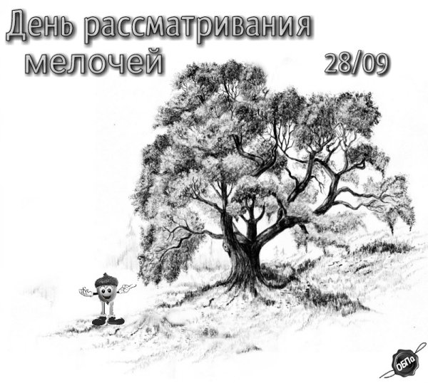 День рассматривания мелочей открытки