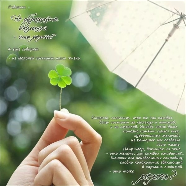 Жизнь состоит из мелочей