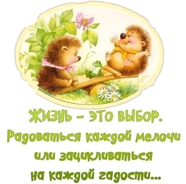 Радоваться жизни цитаты