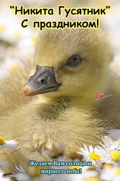 Рисунок Никита гусятник в детский сад