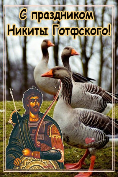 Никита гусятник 28 сентября народный календарь