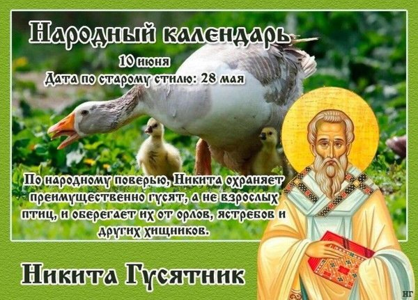 Народный календарь Никита гусятник