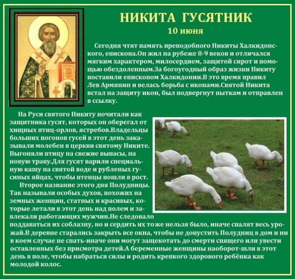 Картинки с описанием Никиты гусятника для презентации