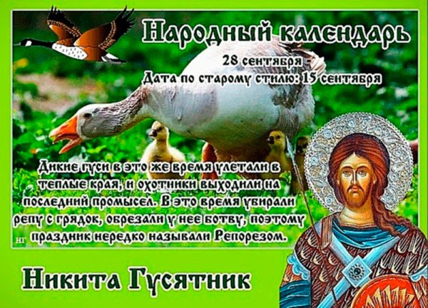 Народный календарь Никита гусятник