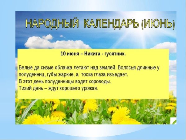 Никита гусятник картинки