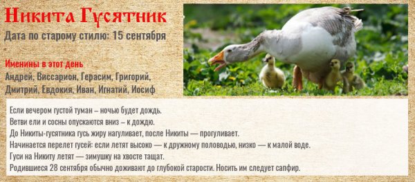 Народный праздник Никита гусятник