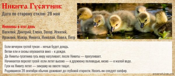 Народный календарь Никита гусятник