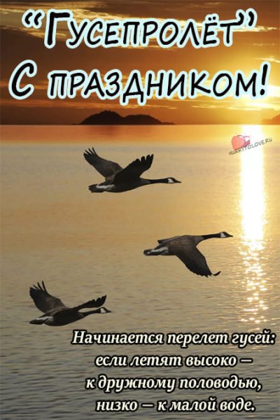 Никита гусятник рисунки