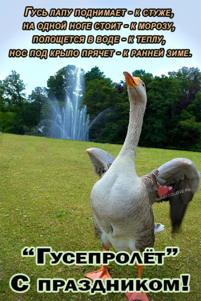 Никита гусятник 28 сентября народный календарь