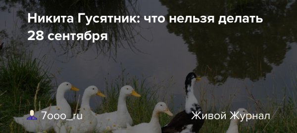 Никита гусятник