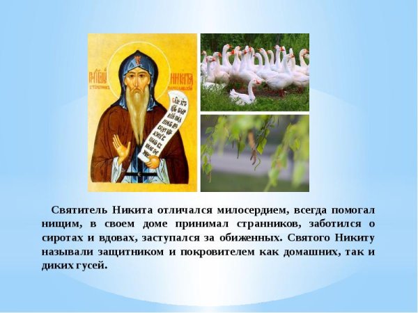 Народный праздник Никита гусятник