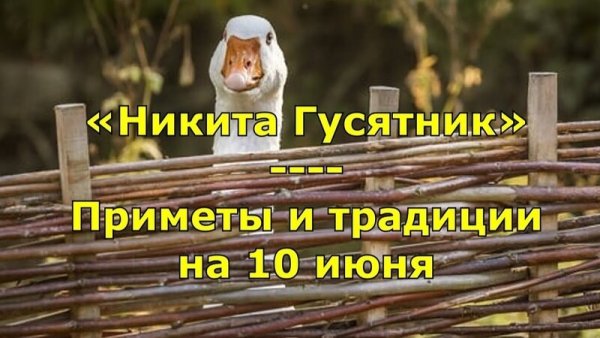 Никита гусятник 10 июня