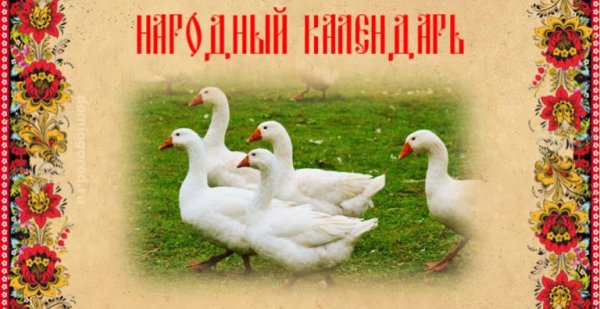 Народный календарь Никита гусятник
