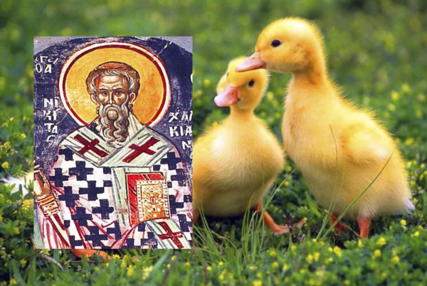 Народный праздник Никита гусятник