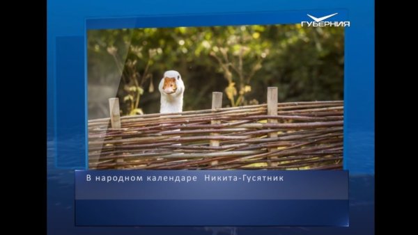 Никита гусятник народный календарь 28 сентября 2021 года в России