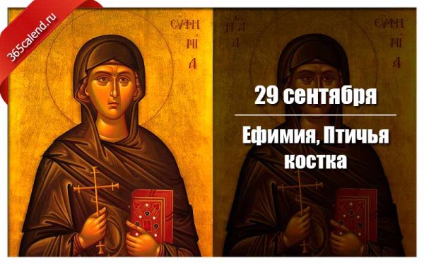 Ефимия, Птичья Костка