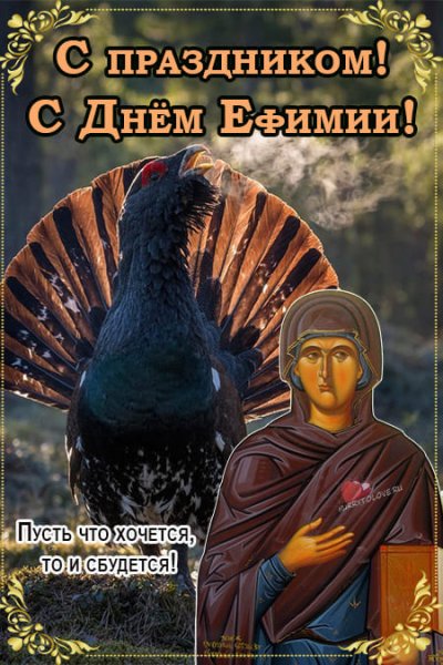 29 Сентября Птичья Костка