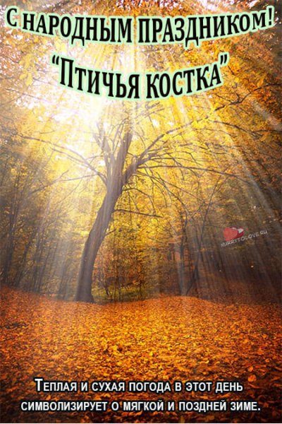 Ефимия, Птичья Костка приметы