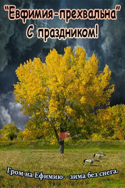 Ефимия Птичья Костка 29 сентября