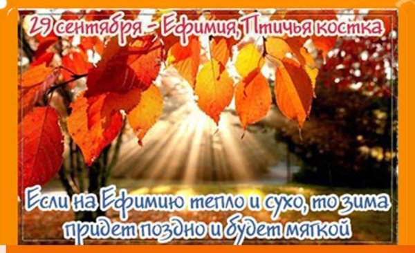 Народный календарь 29 сентября Ефимия Птичья Костка