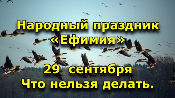 Ефимия Птичья Костка 29 сентября