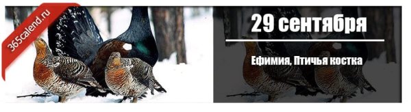 Ефимия Птичья Костка 29 сентября