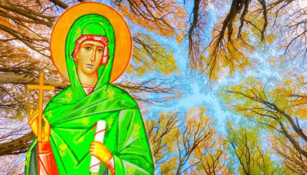 Народный праздник Ефимия, Птичья Костка