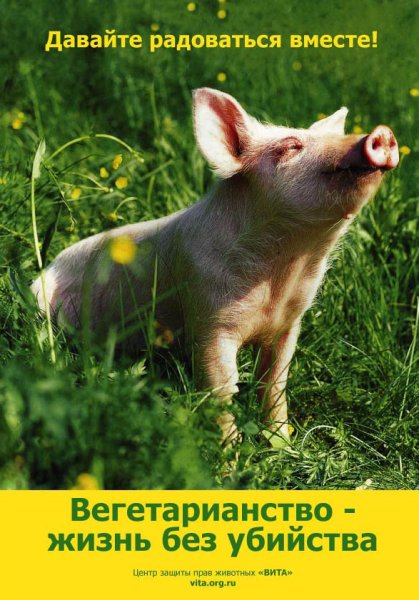 Вегетарианство плакаты