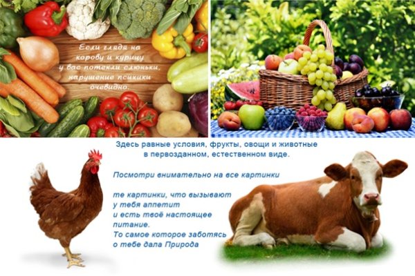 Веганы и вегетарианцы в чем различия