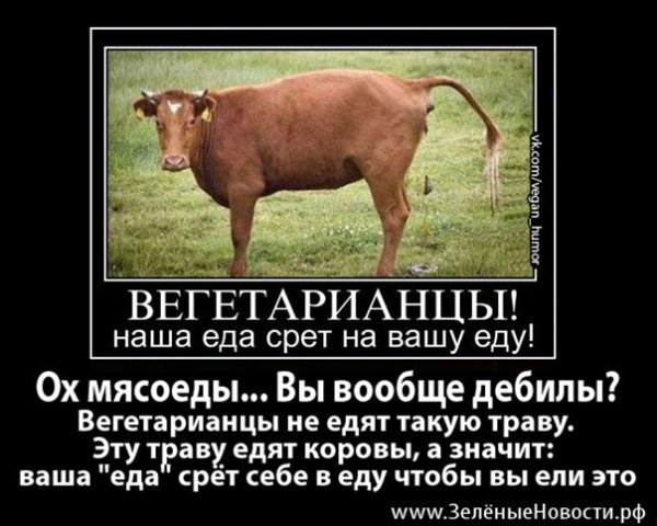 Вегетарианец ест траву