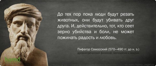 Цитаты о вегетарианстве