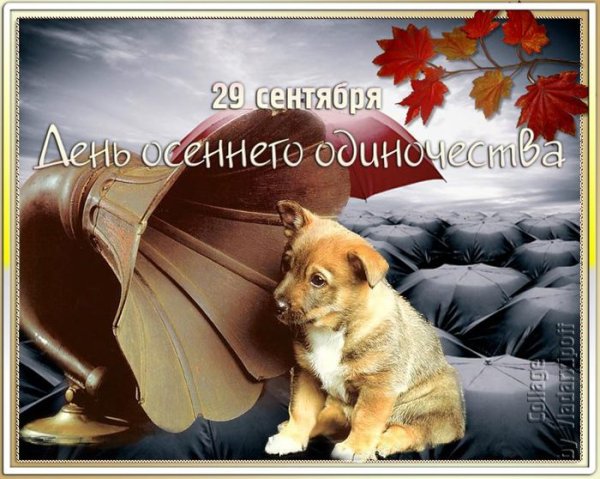 День осеннего одиночества