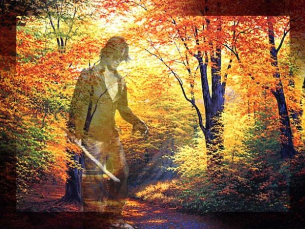 Открытки ко Дню осеннего одиночества