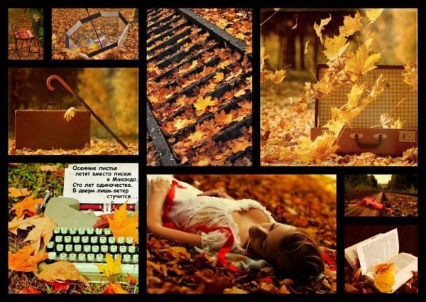 День осеннего одиночества праздник