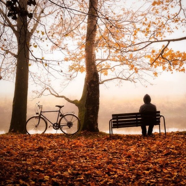 Daminika - autumn Day