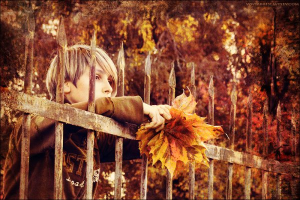 Осенняя печаль